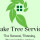 Lake Tree Service