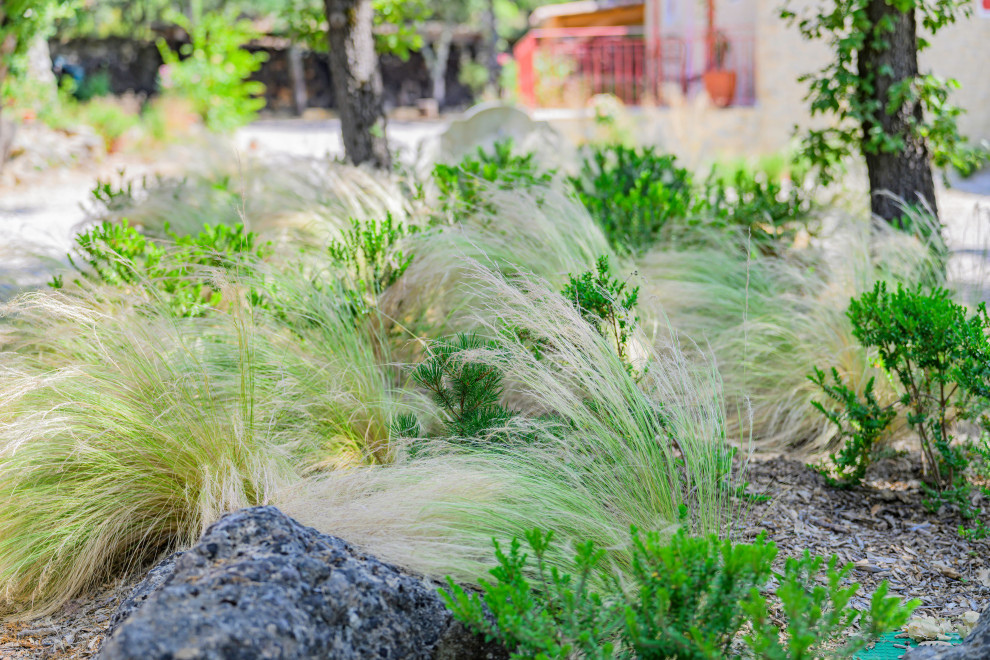 Jardin naturel sous les chênes