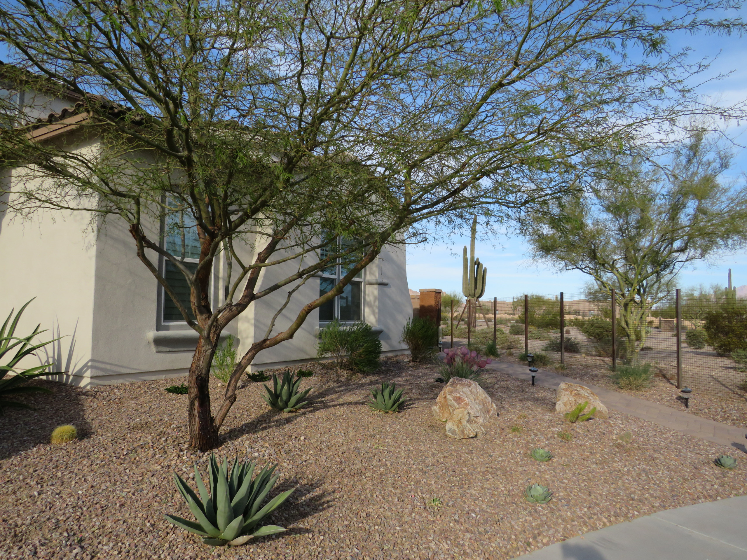 Southwestern Front Yard Landscape - Mesa, AZ