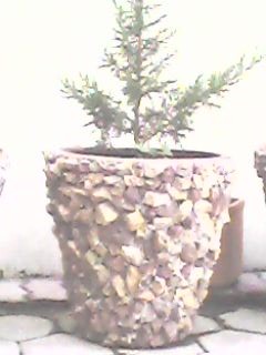 Flower & plants pots hand made