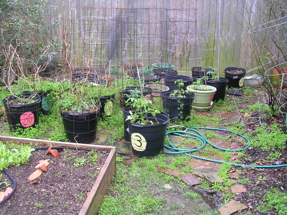 Functional back yard