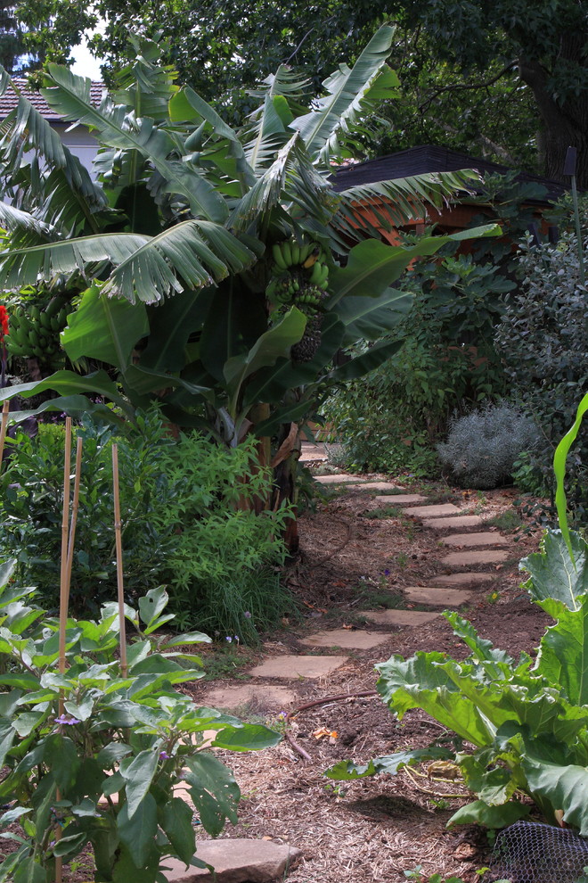 Inspiration for a large contemporary backyard full sun garden in Sydney with a vegetable garden.