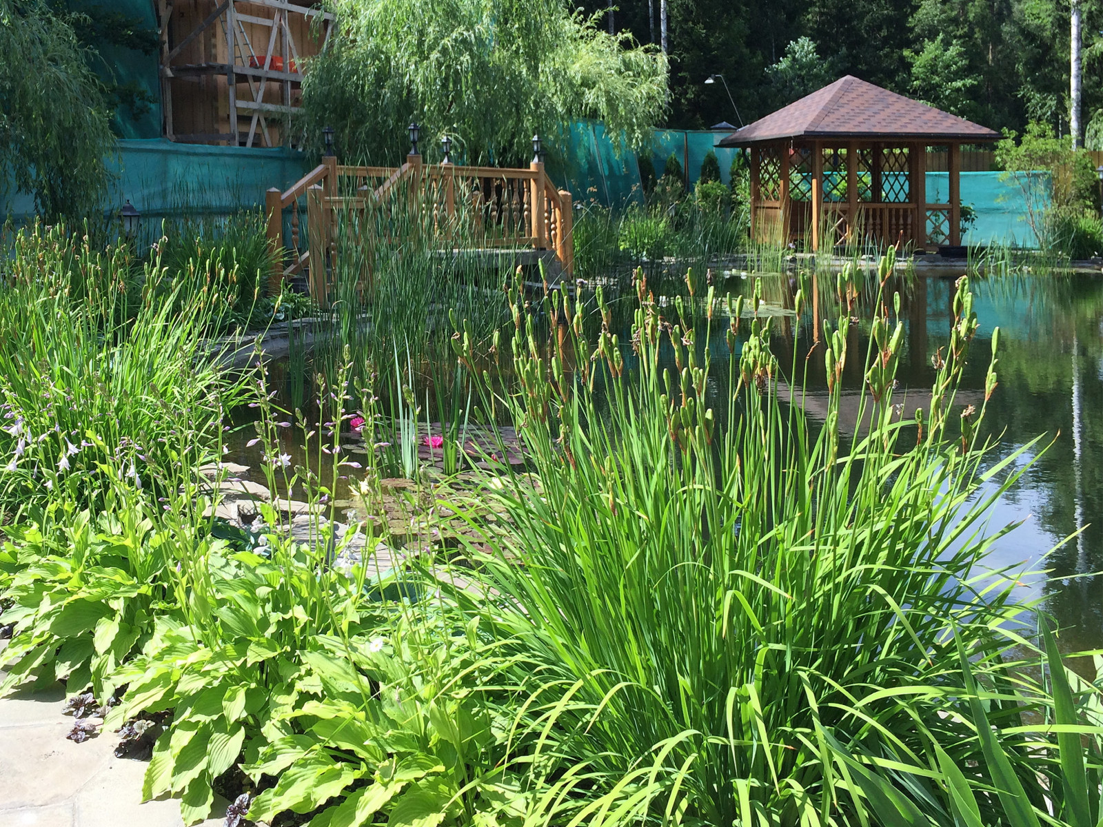 Проект Озерный