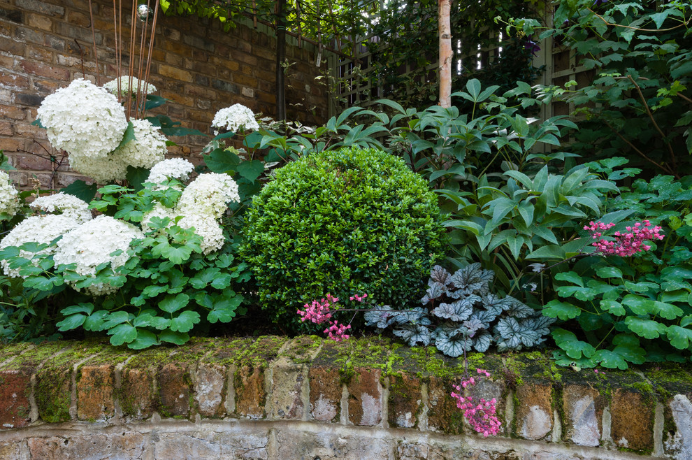 Inspiration for a small traditional garden in London.