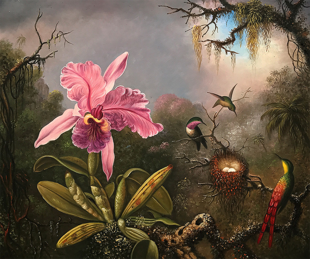 Cattleya Orchid and Three Hummingbirds, 1871