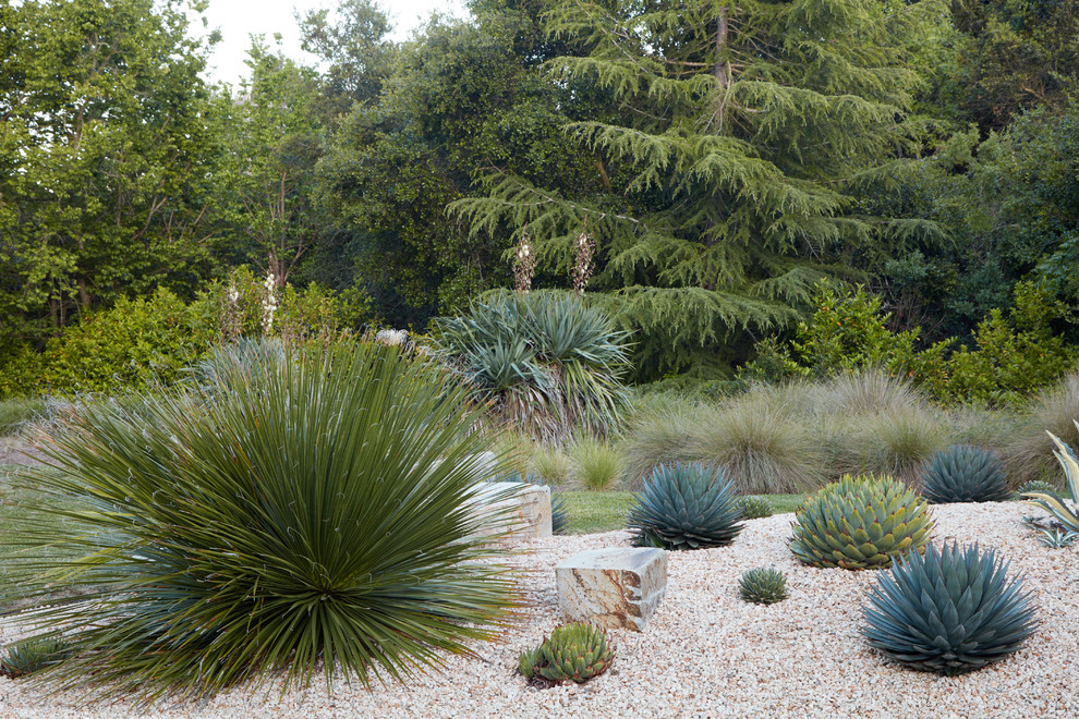 Inspiration for a mid-sized country backyard partial sun xeriscape for summer in San Francisco with gravel.