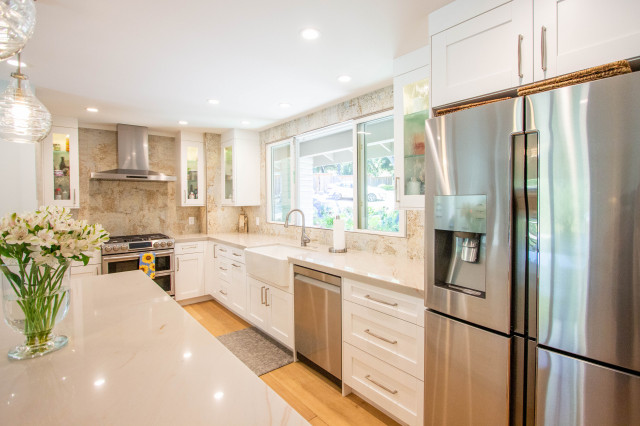 Natural Light transitional-kitchen