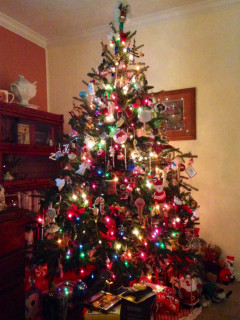 Houzz Call: Show Off Your Christmas Tree! (5 photos)