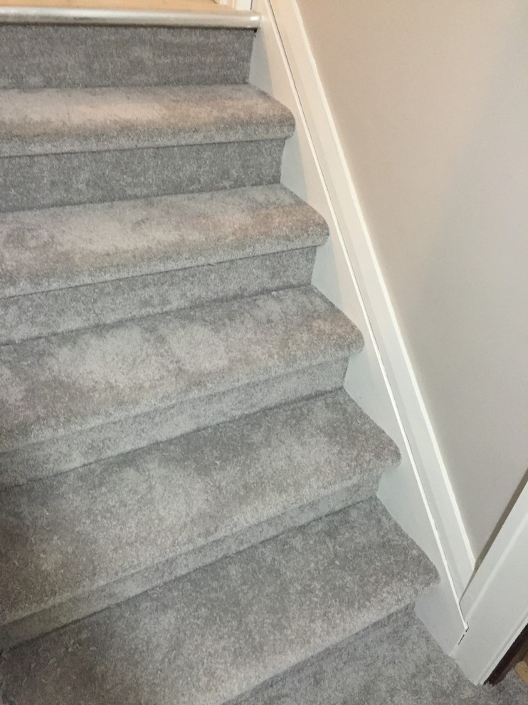 Inspiration for a transitional carpeted staircase in Toronto with carpet risers.
