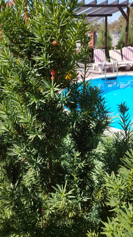 Зона отдыха в частном саду