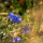 webuser_154869