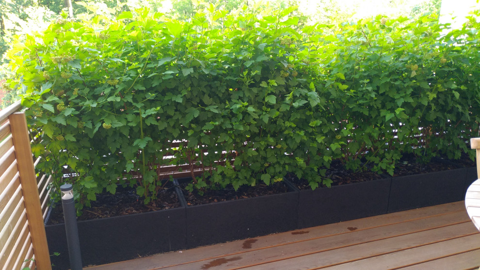 ЖК "Литератор"