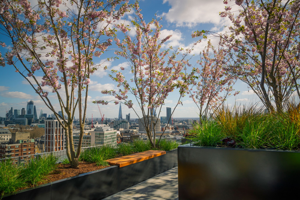 Design ideas for a large contemporary rooftop partial sun garden in London.