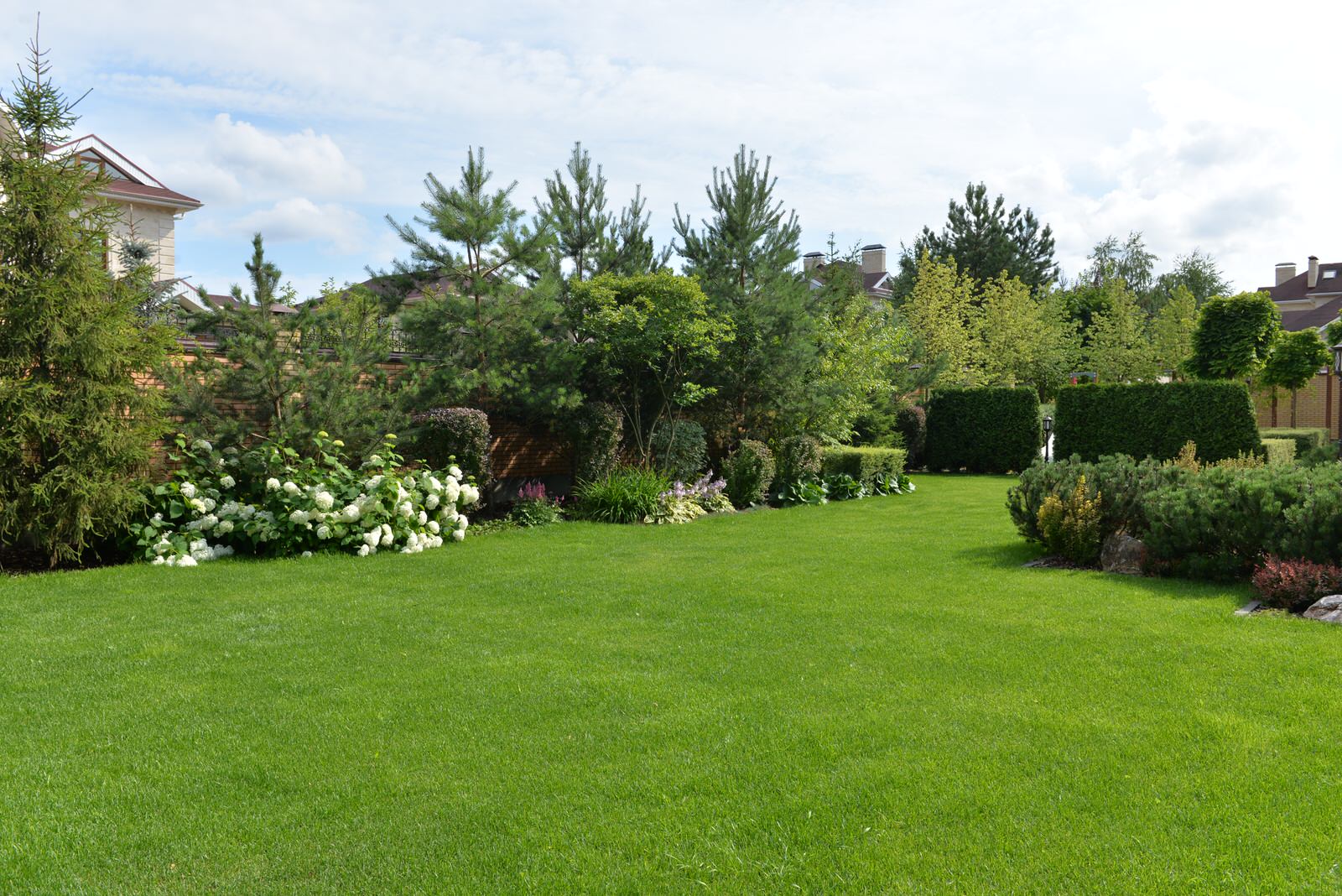 От знакомства до последнего цветника 6 месяцев