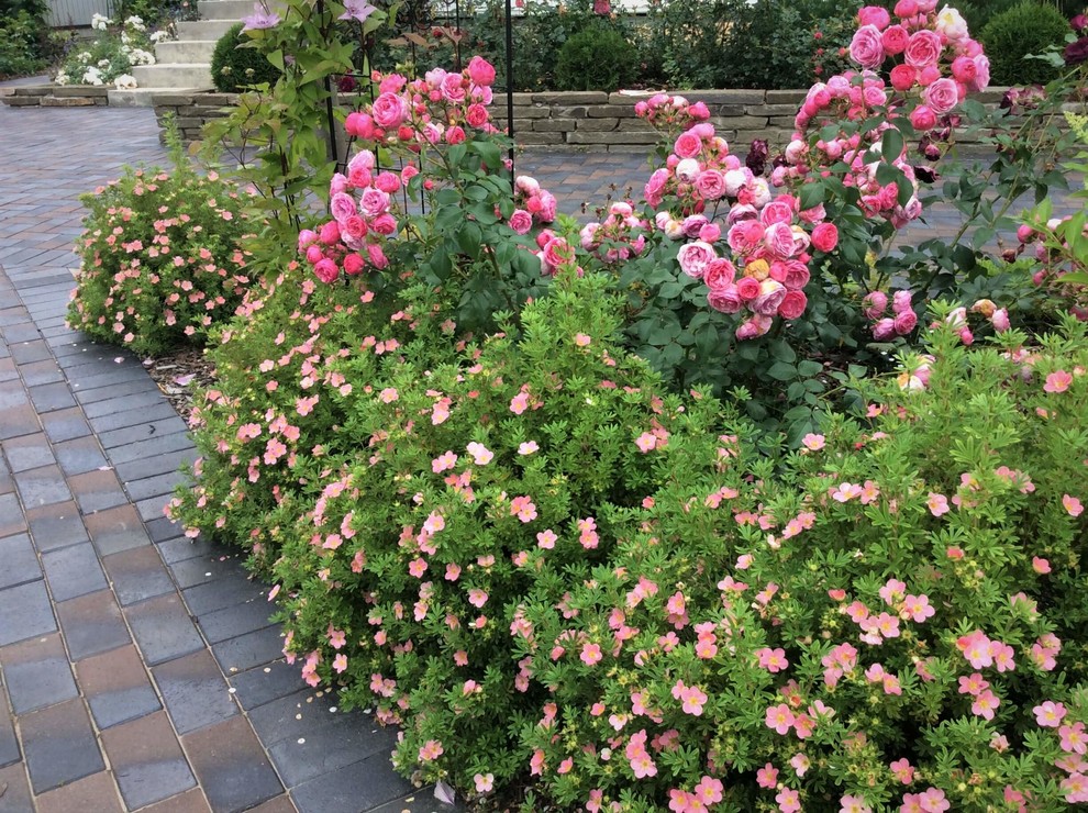 СНЫ О ЧЕМ_ТО БОЛЬШЕМ...