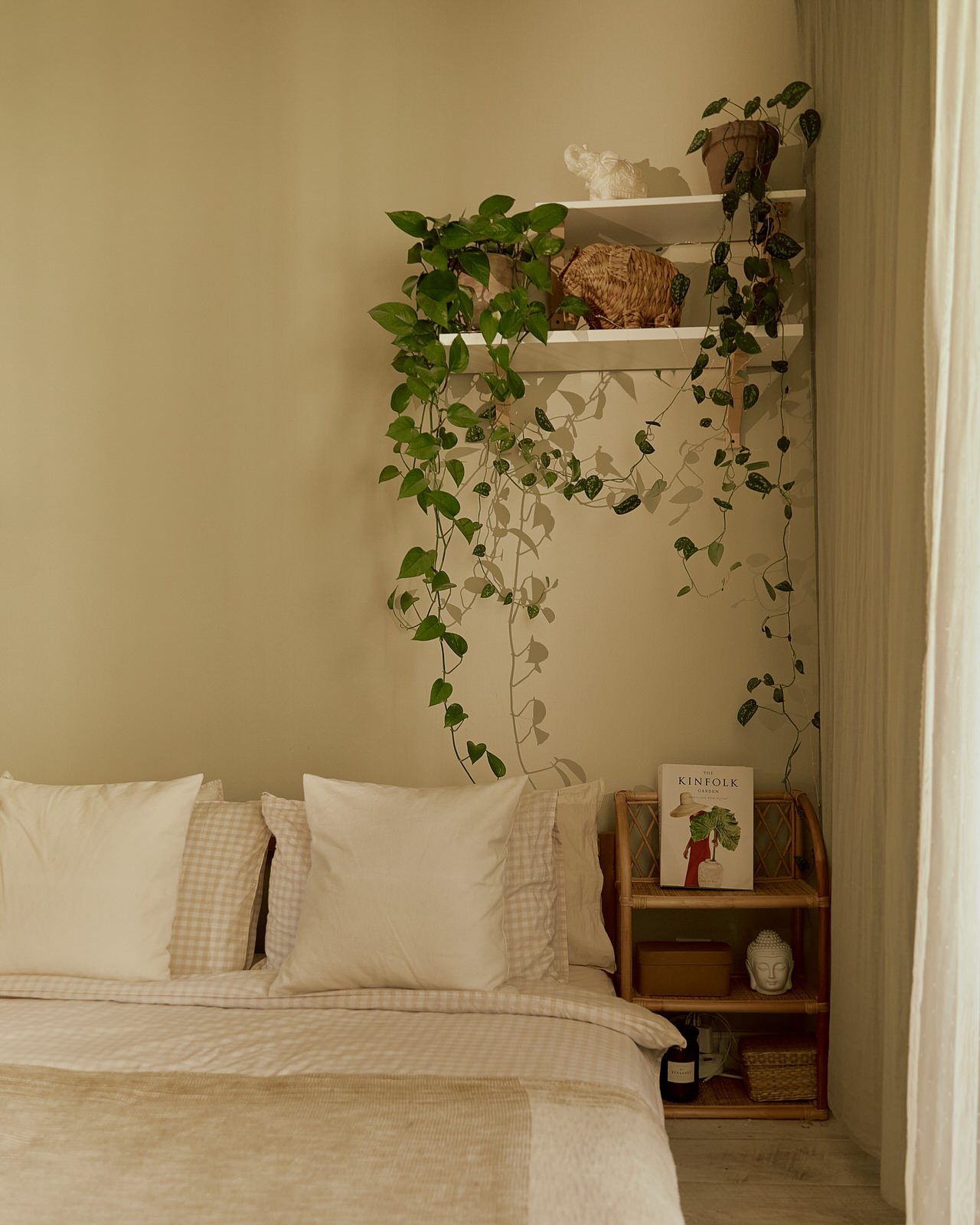 Озеленение квартиры-студии