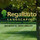 Regalbuto Landscaping LLC