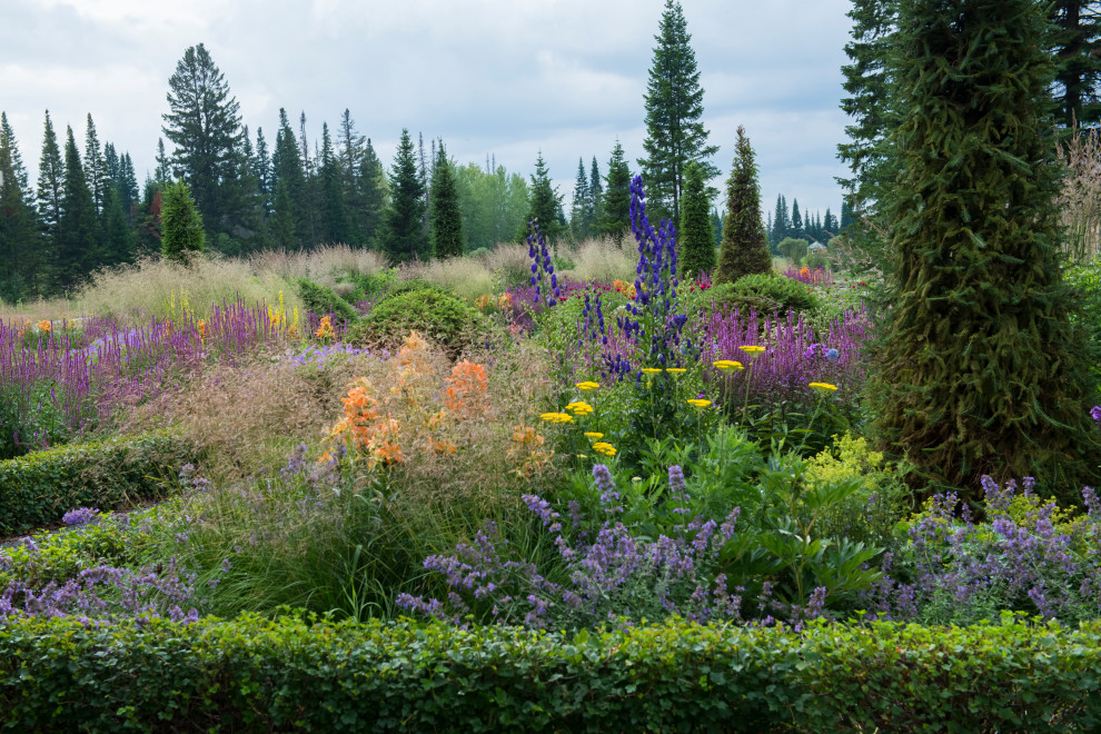 Многолетники