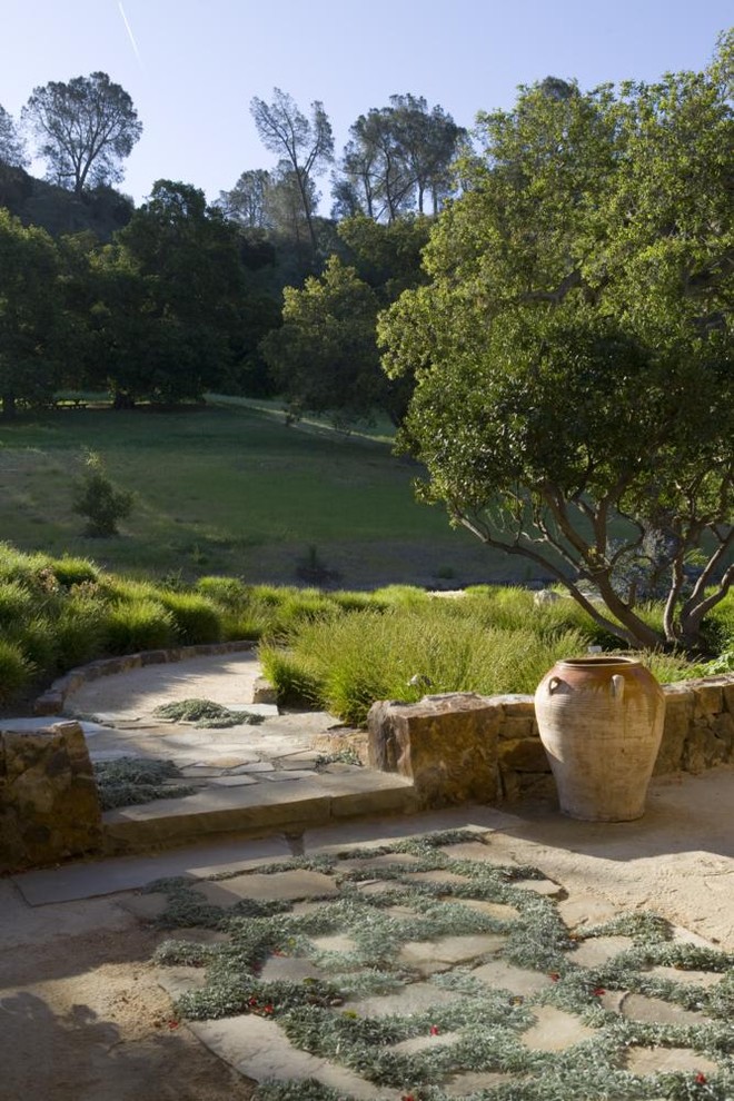 Design ideas for a mediterranean garden in Santa Barbara with a retaining wall.