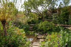 Garden Tour: A Flood-resilient Garden With Beautiful Planting