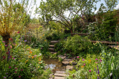 Un jardin résistant aux inondations avec de belles plantations