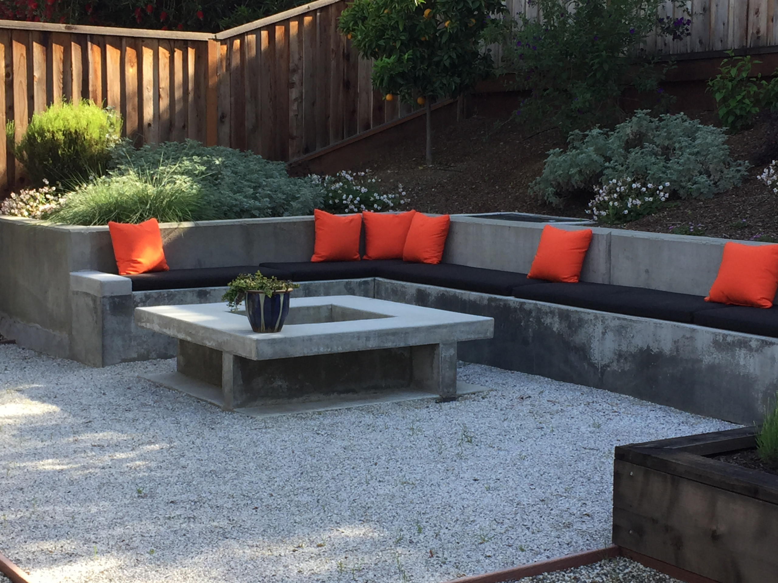 Almaden backyard