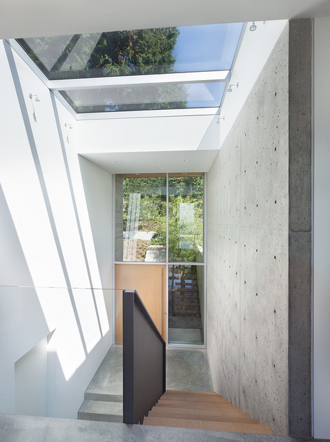 Russet modern-entry