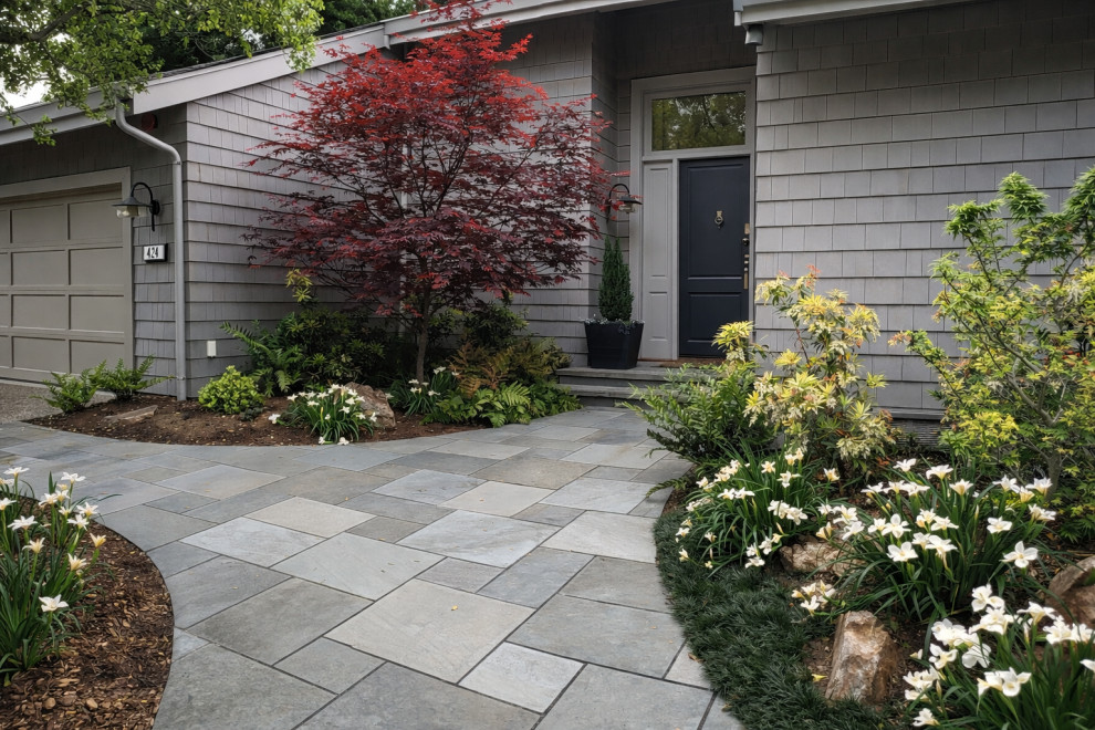 Landscape/ Hardscape