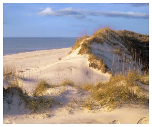 Coastal Sand Dunes Saint Joseph Peninsula Florida Paper Art 18 X15 28 Beach Style Prints And Posters By Global Gallery Coastal Sand Dunes Saint Joseph Peninsula Florida Paper Art 18 X15 28 Beach Style Prints And Posters By Global Gallery