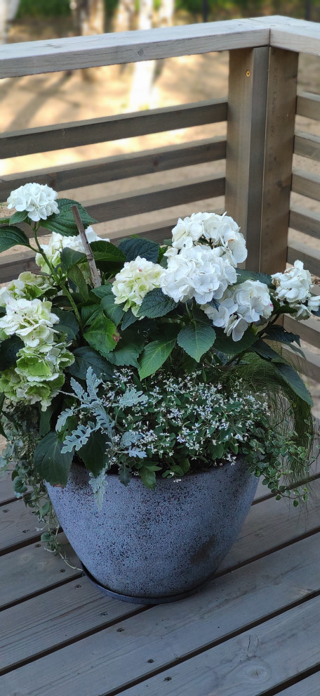 Проект " В тонких линиях "