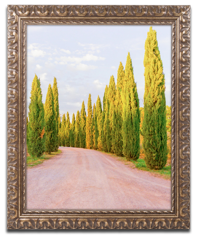 Ariane Moshayedi Italian Cypress Trees Ornate Framed Art Traditional Prints And Posters By Trademark Global