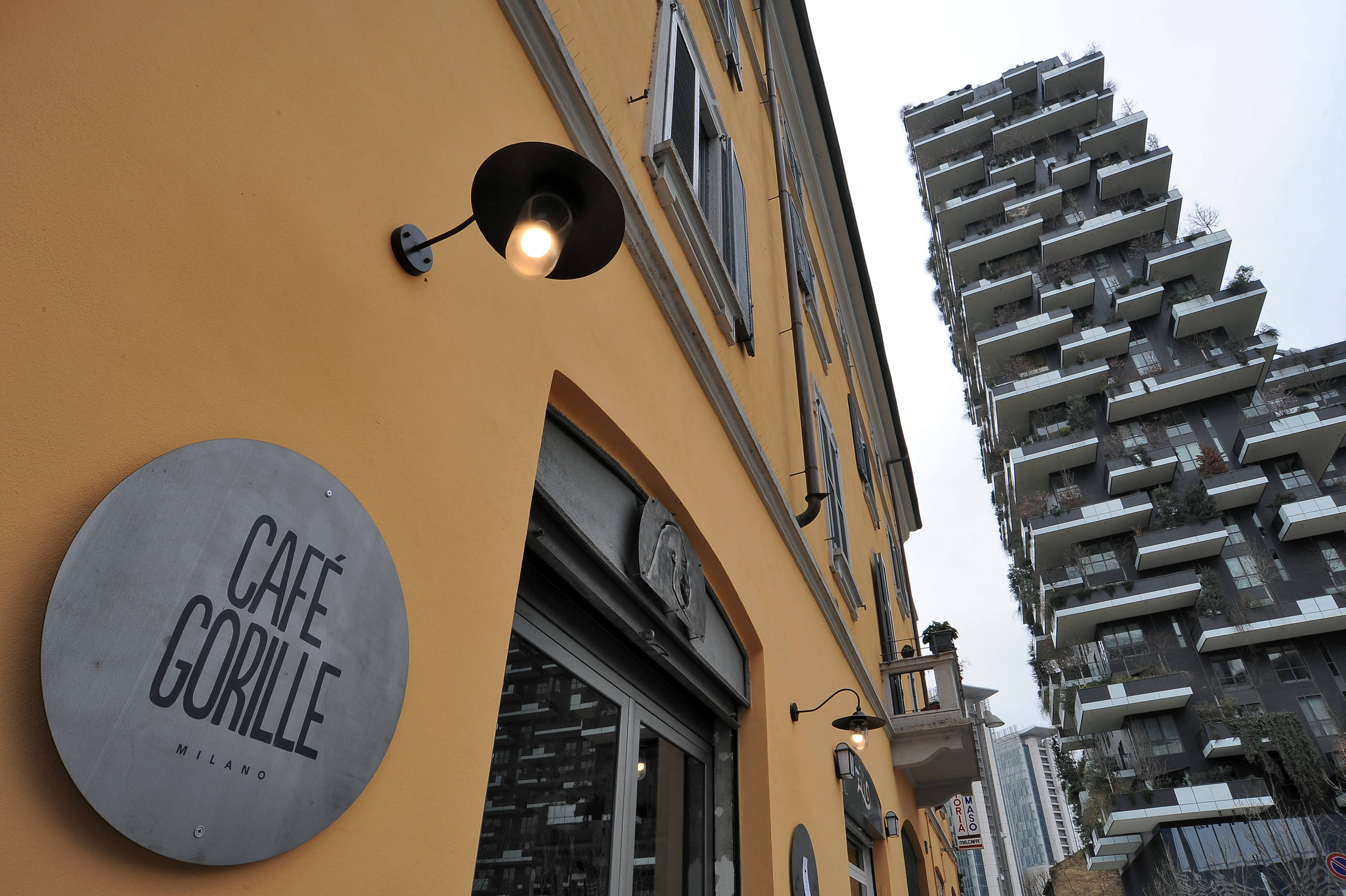 CAFE GORILLE