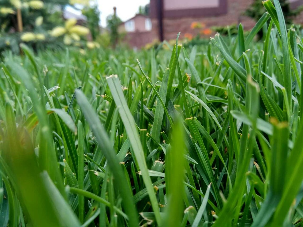 Ландшафтный дизайн