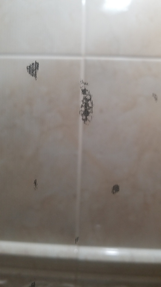 Black marks/stains on mirror