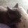 mary_grever