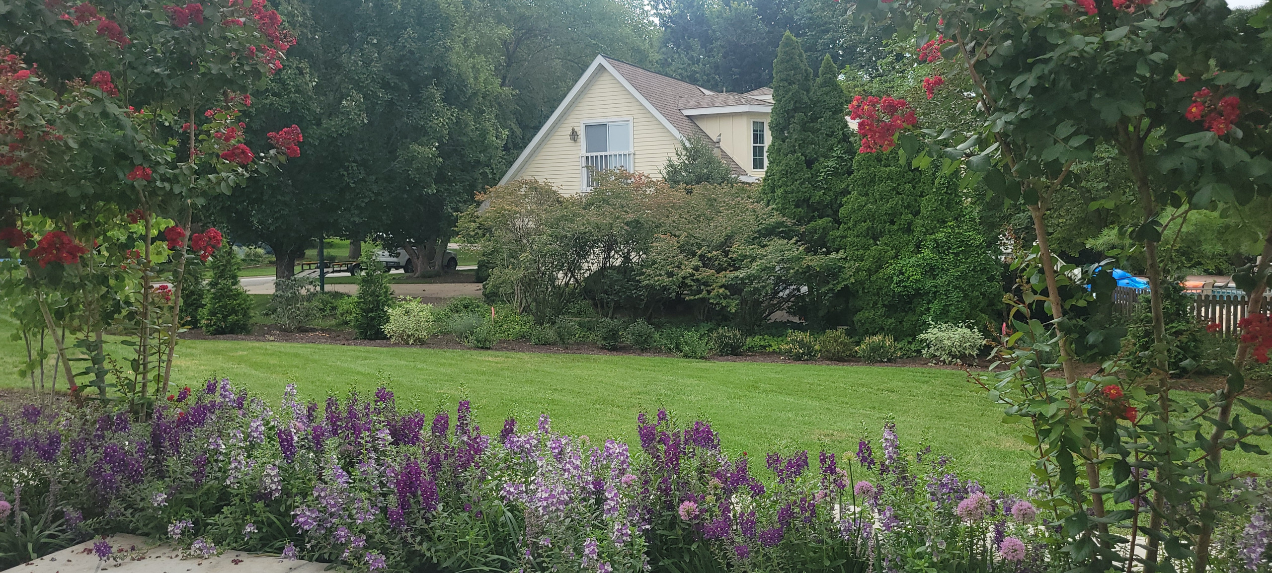 2025 Garden Highlights