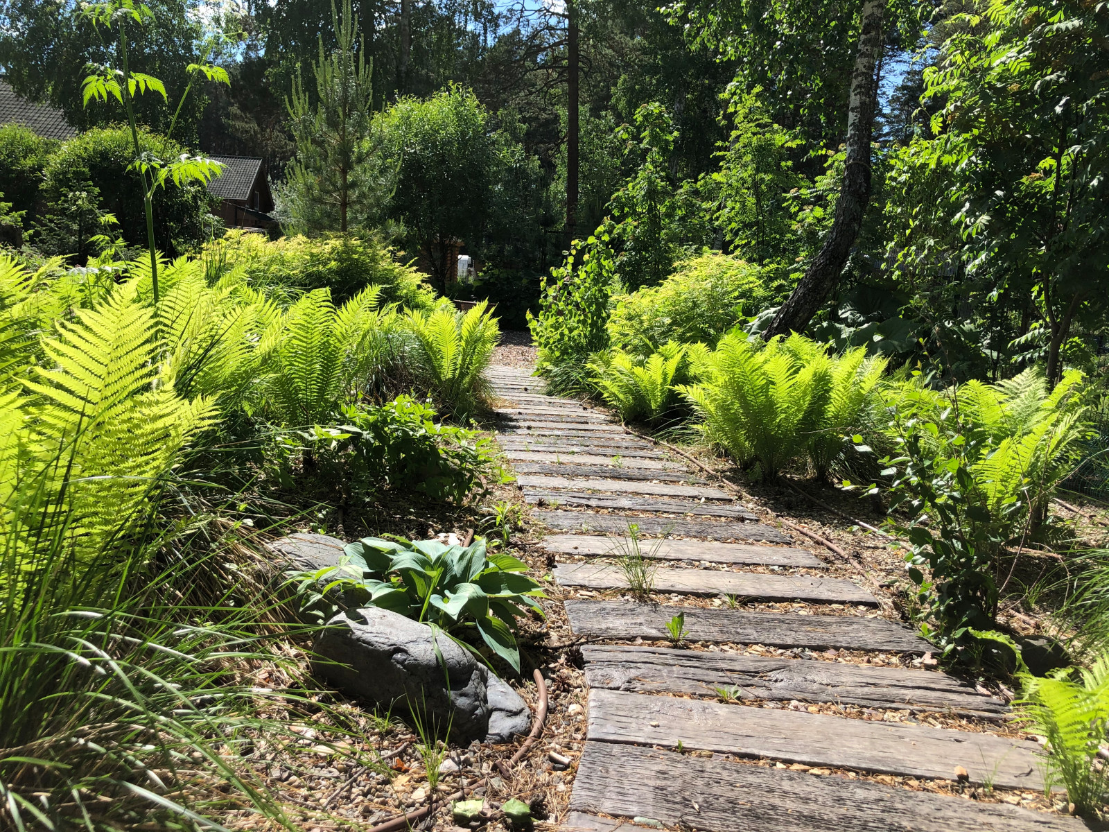 Усадьба на краю леса