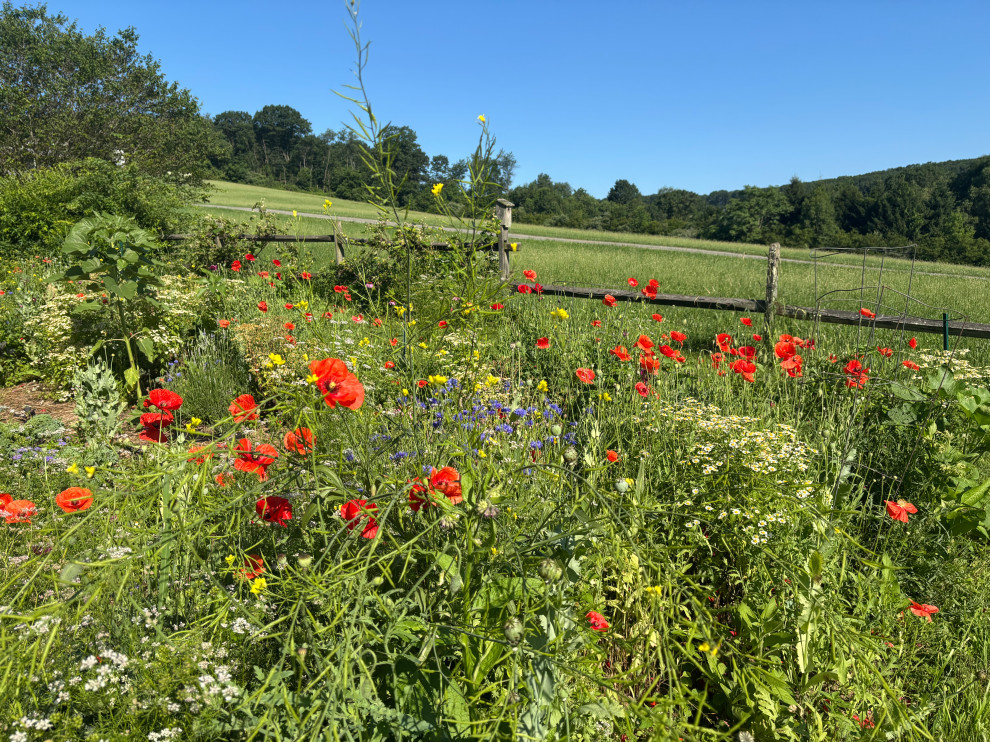 Country Farmhouse Garden