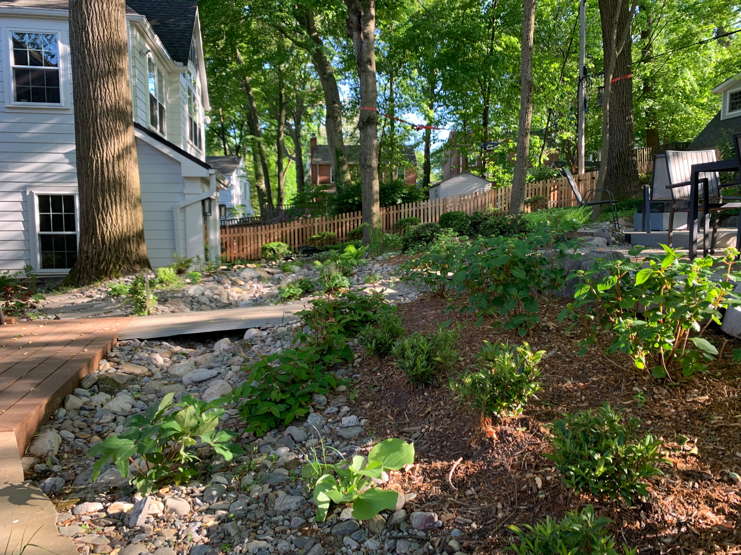 Dry stream bed and shade tolerant plants.