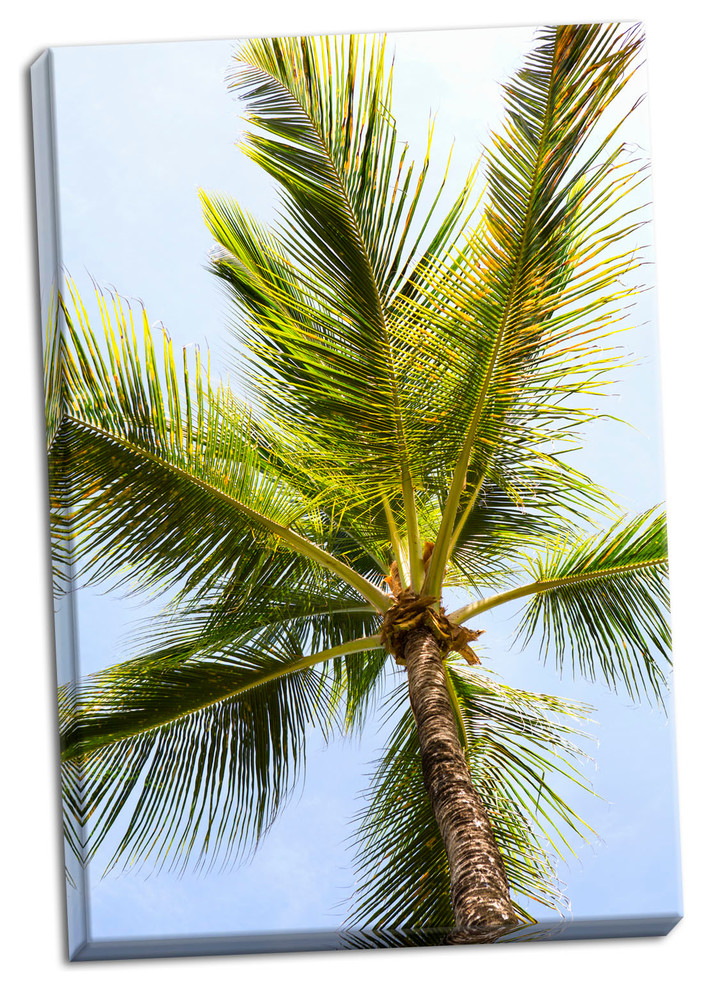 Fine Art Photograph, Below the Palms I, Hand-Stretched Canvas