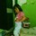 Fendy