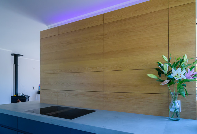 Kitchen with Concrete Top contemporary-kitchen
