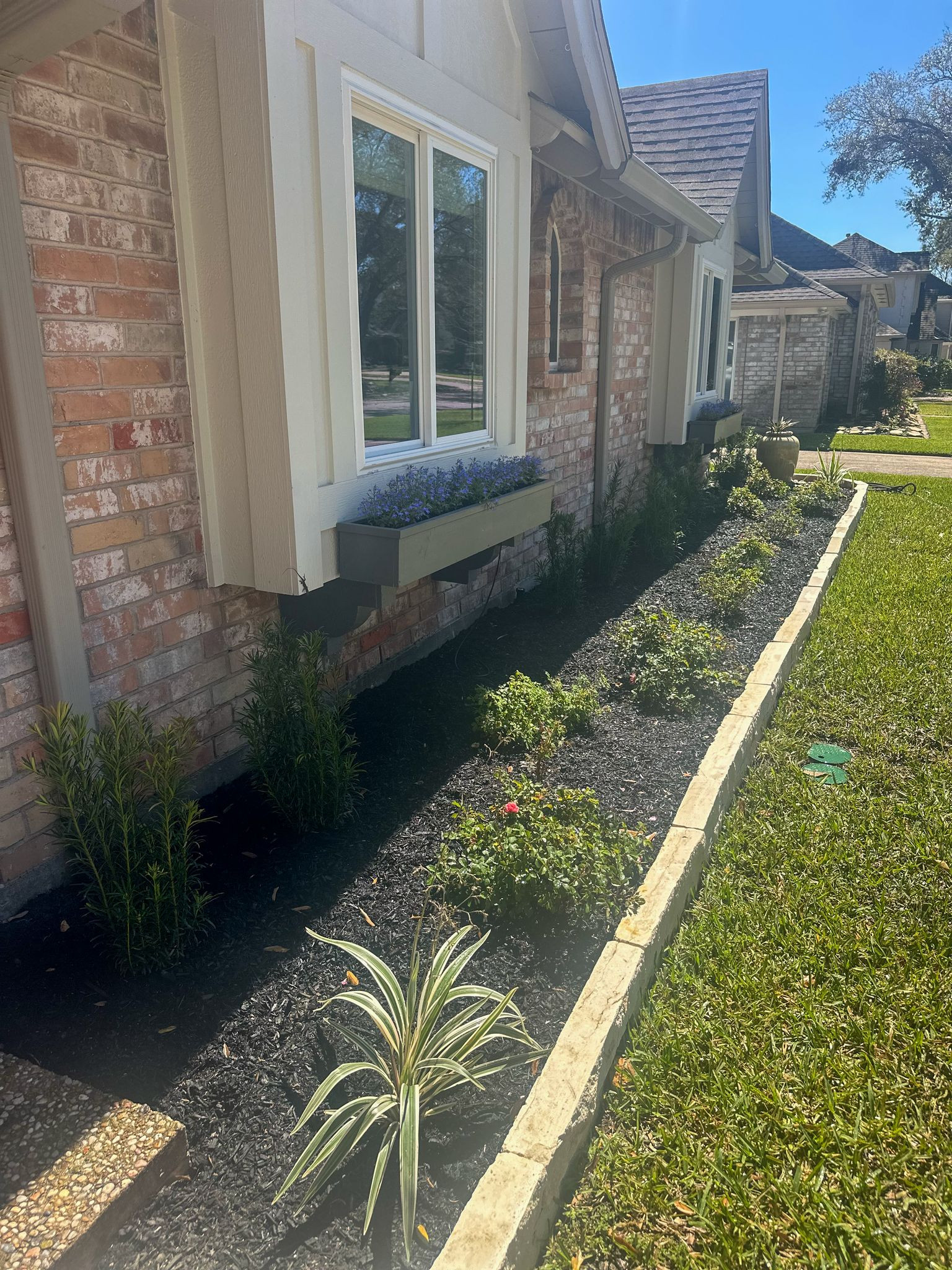 Front yard makeover at Durban Dr!