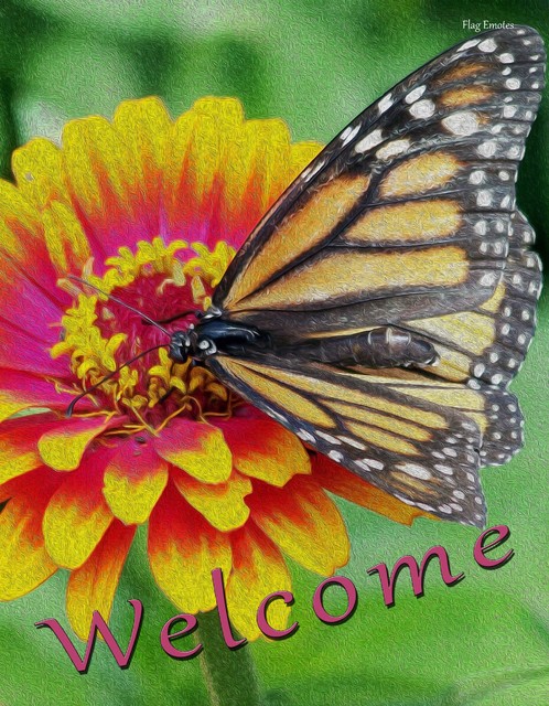 12" x 18" Double Sided Monarch Butterfly Welcome Garden Flag 