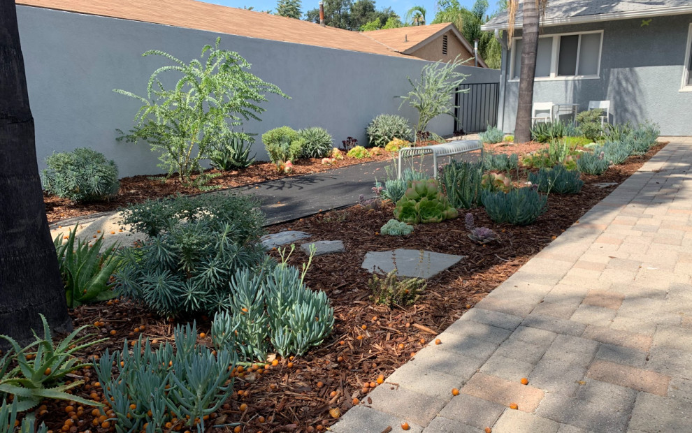 Mittelgroßer Moderner Vorgarten im Sommer mit Wüstengarten, direkter Sonneneinstrahlung und Pflastersteinen in Los Angeles