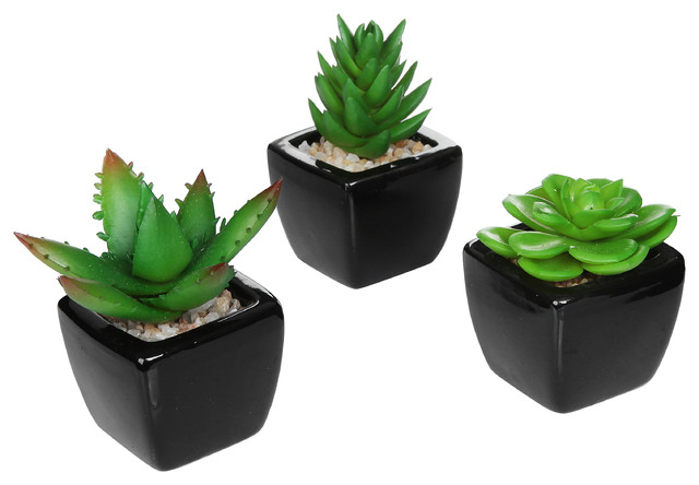 Artificial Succulents In Modern Square Black Ceramic Planters Set Artificial Succulents In Modern Square Black Ceramic Planters Set Of 3 Plants And Trees By Mygift