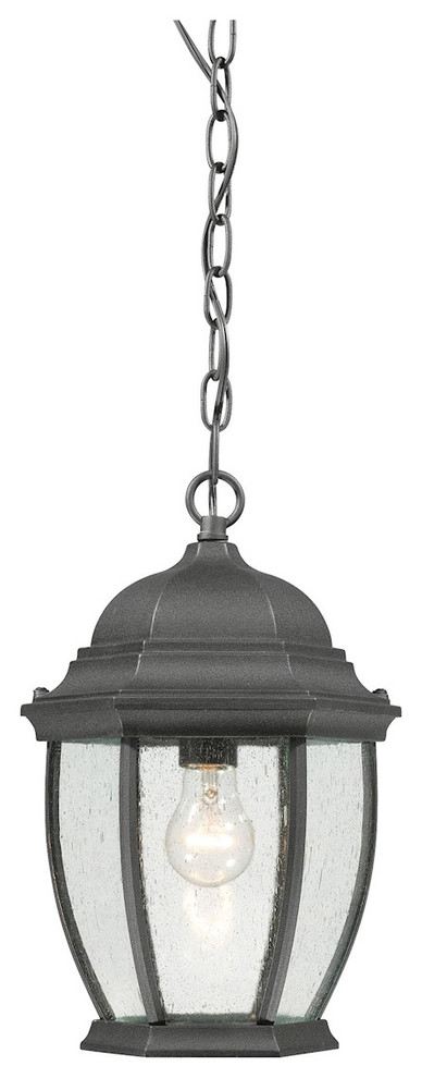 Covington 1 Light Outdoor Pendant or Chandeller in Black