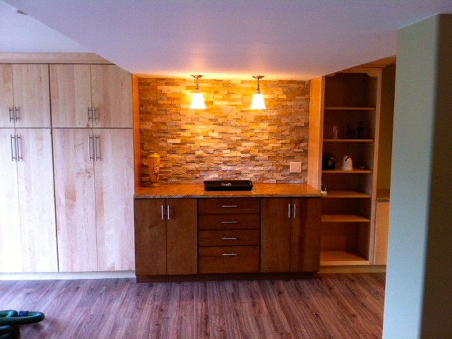 Transitional basement photo in Baltimore