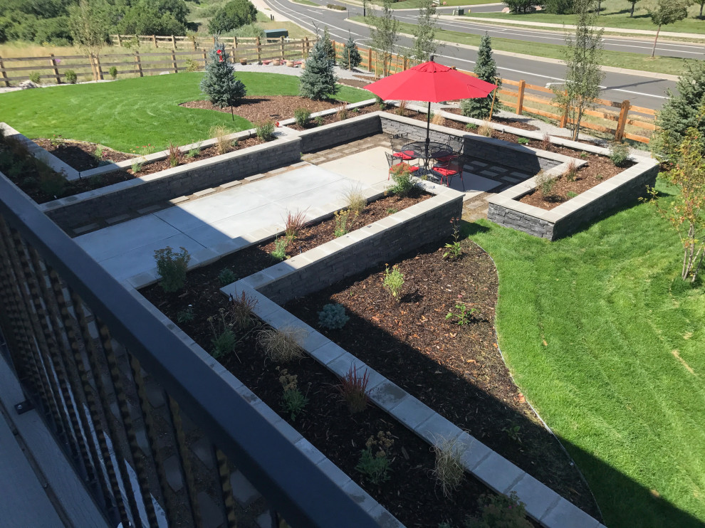 Photo of a large contemporary backyard raised garden bed in Denver.