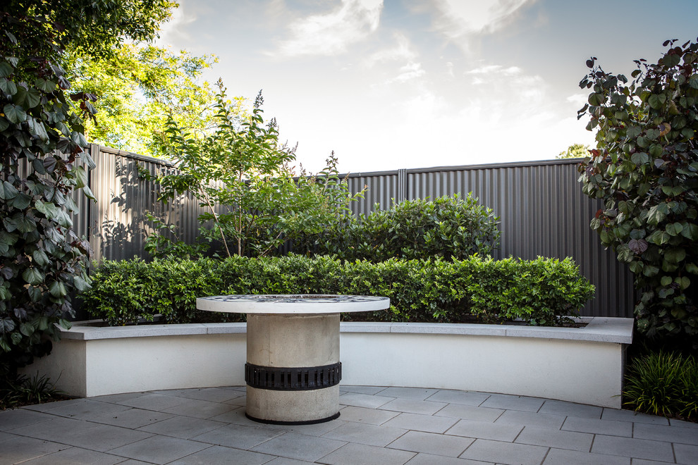 Design ideas for a small modern courtyard garden in Adelaide.